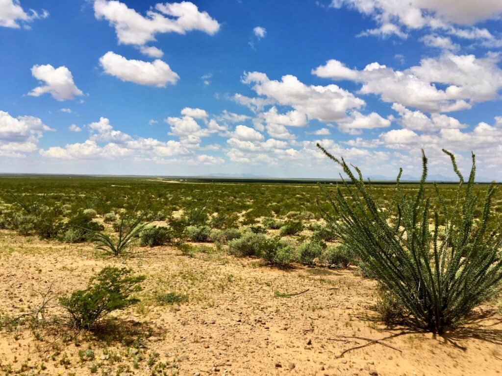 10 Acres- 1 sold