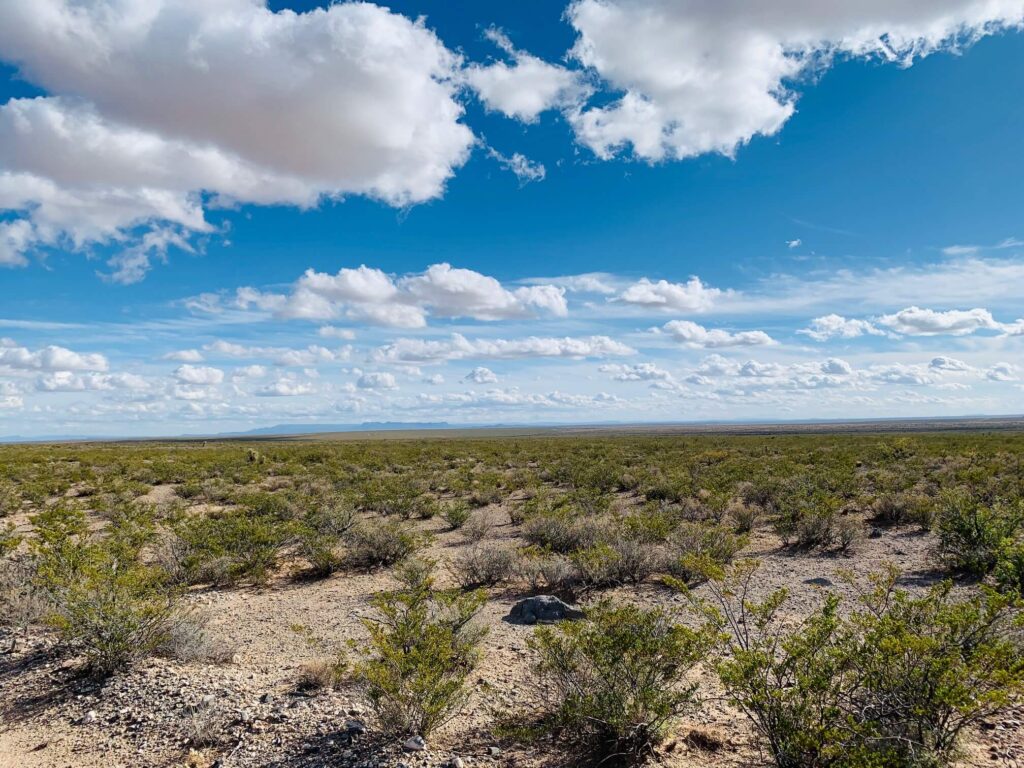 10-acres-lone-s-2