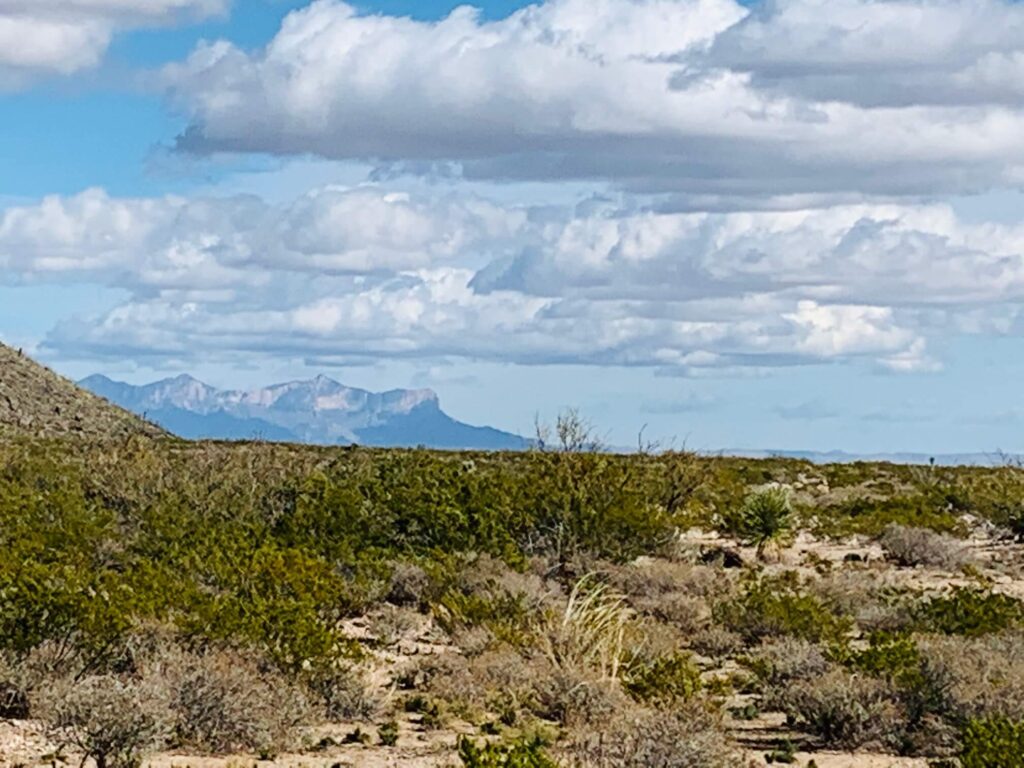 10-acres-lone-s-3