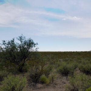 20 Acres | BLK 68 | Tract 20