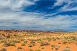 West Texas Desert