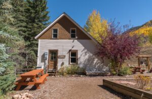 A tiny home flanked by trees