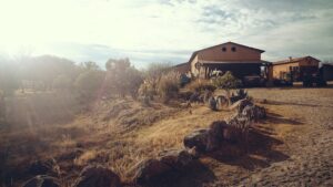 A ranch in West Texas