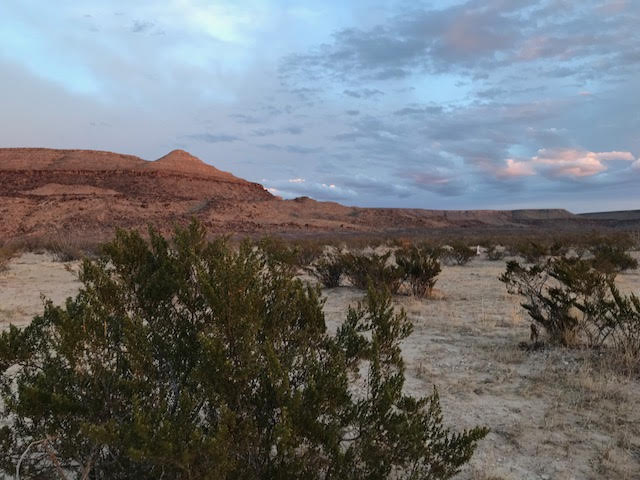 one of the many ranches for sale by Lone Star Investments