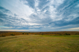 A green field in far West Texas land for sale.