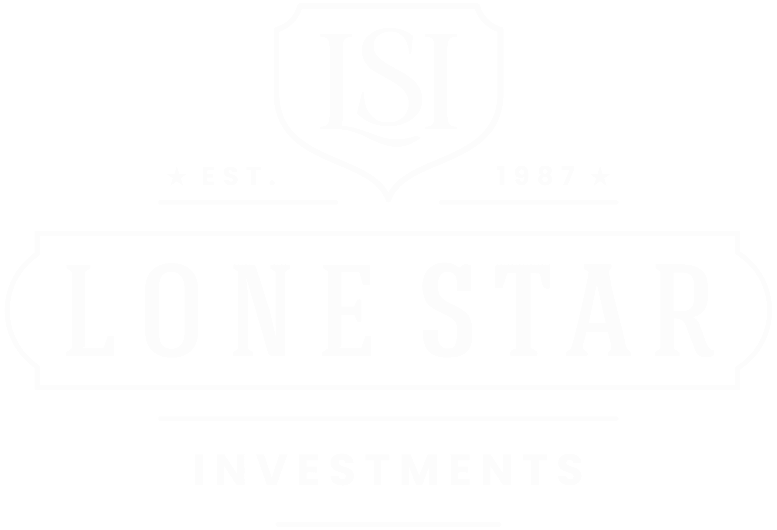 Lone Star Investments Logo
