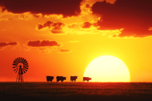 Sunset at a ranch in West Texas