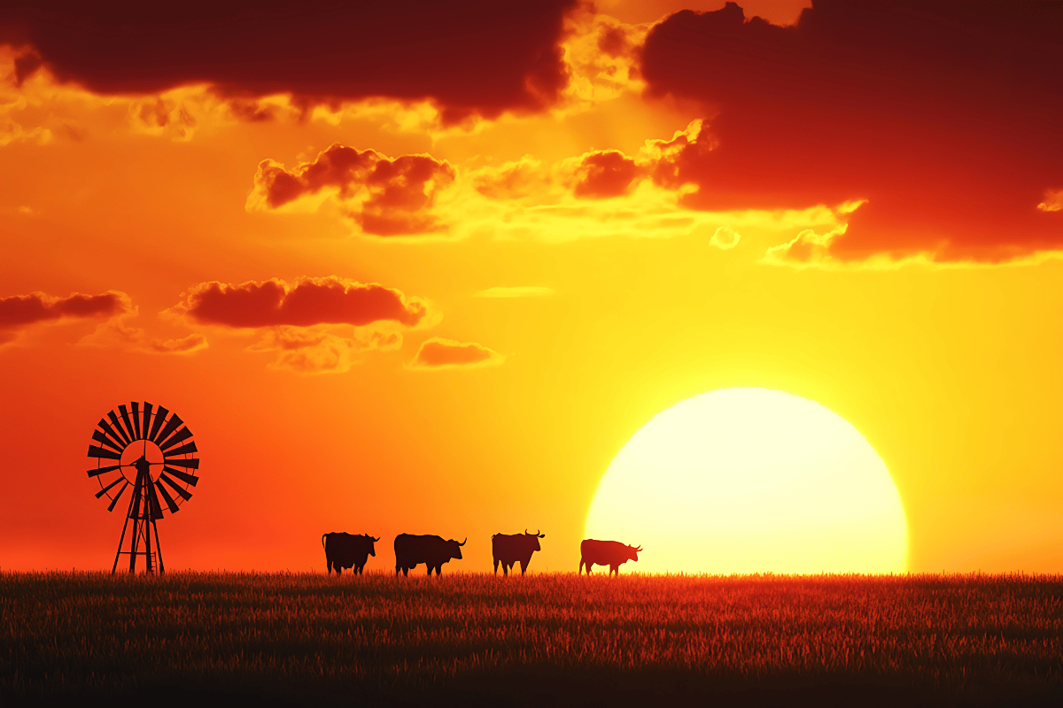 Sunset at a ranch in West Texas