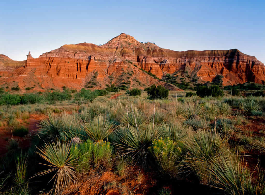A landscape of West Texas land.